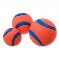 Chuckit! Ultra Ball - M - 2 stuks