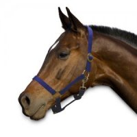 Sectolin Halster Economic - Pony - Blauw