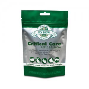 Critical Care 36 gr. met 1 spuitje