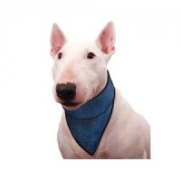 Aqua Coolkeeper Bandana - Blauw - L