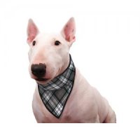 Aqua Coolkeeper Bandana - Geruit - L