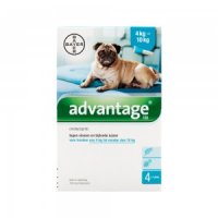 Advantage 100 hond 4-10kg - 4 x 1 ml