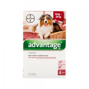 Advantage 250 hond 10-25kg - 4 x 2.5 ml