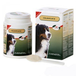 PrimeVal Colonflora Hond - 155 g