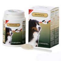 PrimeVal Colonflora Hond - 155 g