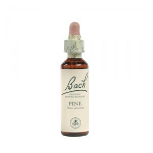 Bach Walnut (Walnoot) - 20 ml