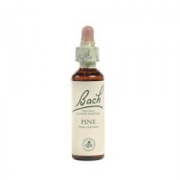 Bach Walnut (Walnoot) - 20 ml