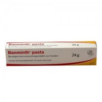 Banminth pasta hond tube 3x 24 gram