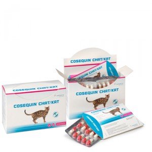 Cosequin 150 capsules kat