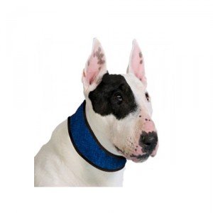 Aqua Coolkeeper Halsband Blauw S