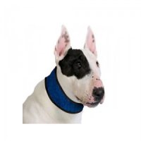 Aqua Coolkeeper Halsband Blauw XXL