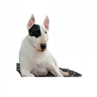 Aqua Coolkeeper Cool Mat Grijs Geruit L