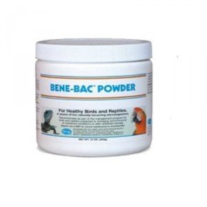 Bene-bac Plus Bird Reptile - poeder 285 g