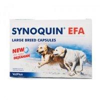 Vetplus Synoquin EFA - Large Breed 120 Capsules