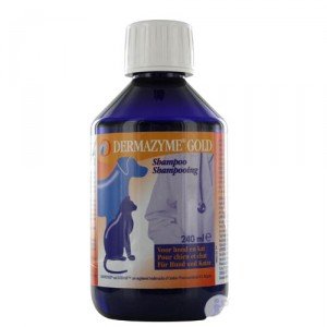 Dermazyme Gold shampoo - 240 ml