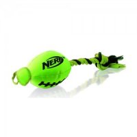 Nerf Trackshot Football Launcher