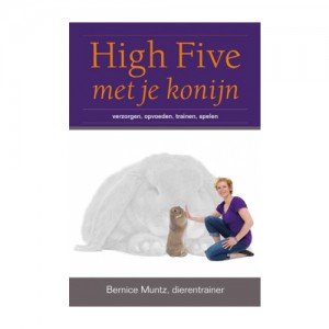 High Five met je Konijn