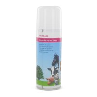 Zinkoxydespray 200ml