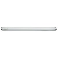 Lamp vliegenvanger 20 Watt met splinterhoes