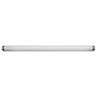 Lamp met splinterhoes 40 Watt