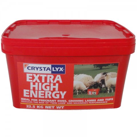 Liksteen Crystalyx schaap