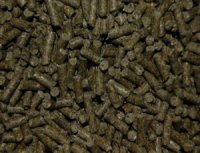 cavia supervit korrel