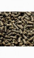 caviakorrels met vitamine c