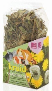 Esve - Kruid - Paardenbloem