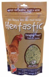 Hentastic Snoepkorrel 1kg