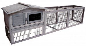 Karlie - Sunshine Cottage Jumbo