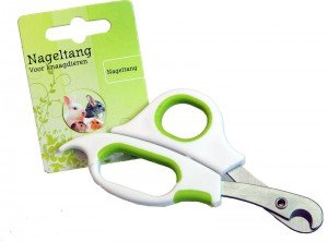 Knaagdier nageltang