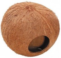 Kokosnoot Huis