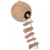 Kokosnoot Huis Met Ladder