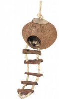 Kokosnoot Huis Met Ladder Ophang