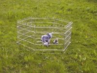 Konijnenren voor in de Tuin