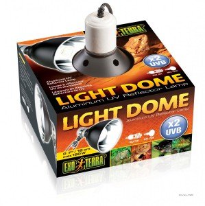 light dome