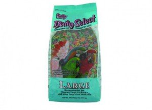 Pretty Bird - Daily Select Large