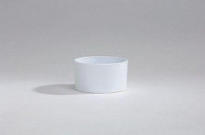 Vogelbakje rond wit
