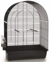 vogelkooi big lucie