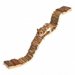 Wonderland Brug