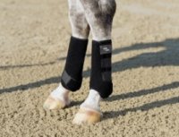 Eskadron Pro Dressage achter