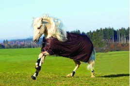Horseware Amigo Bravo 12 Heavy winterdeken