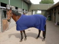 Horseware Amigo Cooler met singels