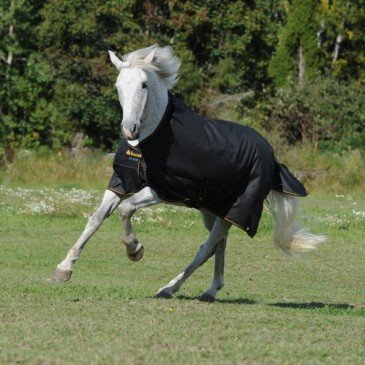 Bucas Irish Turnout Light 50grs