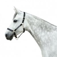 Sectolin Chetaime Chetaime Safety-first Halter