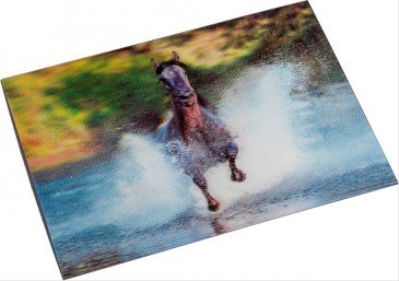 3D Postkaart - Galop