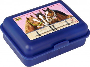 Lunchbox Paardenvrienden