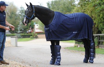 Bucas 2000 Boots Transportbeschermers