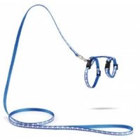 Nylon kittentuigje Hearts - Blauw