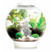 BiOrb Classic aquarium 15 liter MCR wit